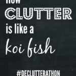 Clutter and koi fish have one huge thing in common, and it's destroying my house!