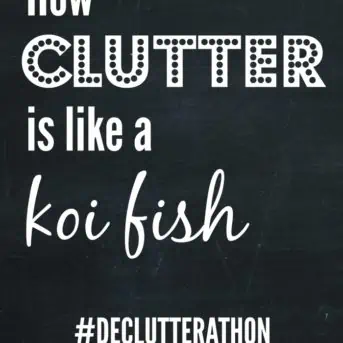 Clutter and koi fish have one huge thing in common, and it's destroying my house!