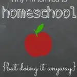 Why I'm terrified to homeschool but doing it anyway