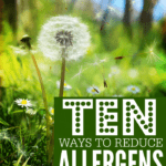 Ten Ways to reduce allergens in your home.