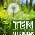 Ten Ways to reduce allergens in your home.