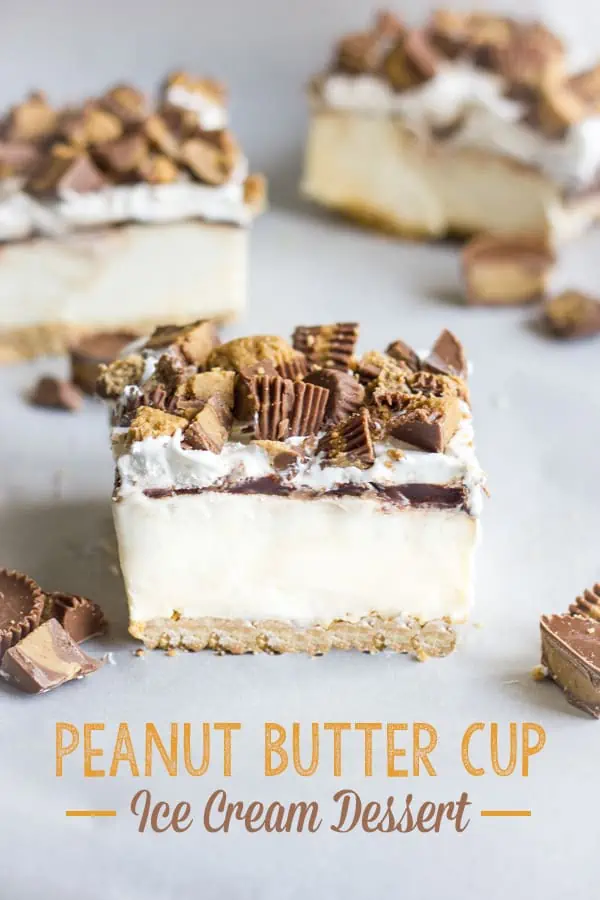 peanut-butter-cup-ice-cream-dessert-11