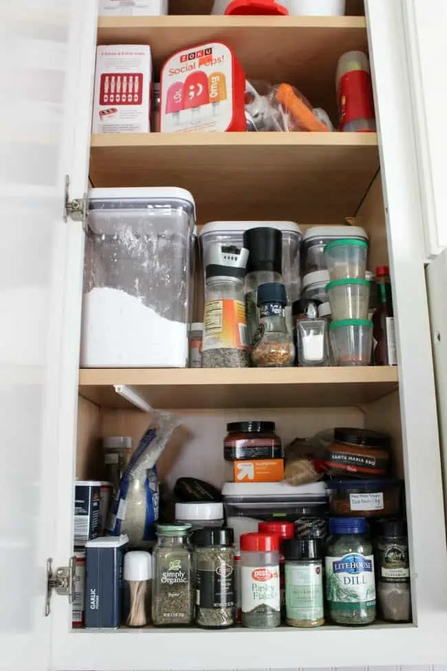 spice organization 2