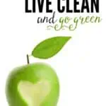 From clean, real food recipes and eco-friendly ideas, to DIY home and health remedies, these are simple ways to live clean and go green.