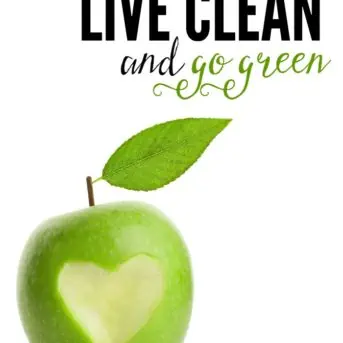 From clean, real food recipes and eco-friendly ideas, to DIY home and health remedies, these are simple ways to live clean and go green.