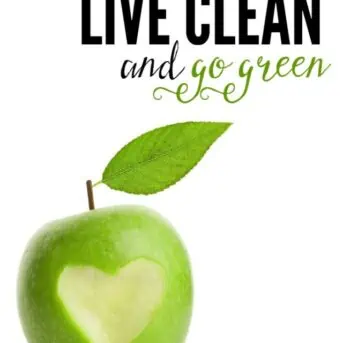 From clean, real food recipes and eco-friendly ideas, to DIY home and health remedies, these are simple ways to live clean and go green.