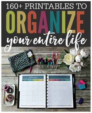 Organize your entire life with printables! These beautiful printables are made to keep your life tidy and in order. No more lost paperwork, forgotten passwords, or missing contact information. With the This Organized Life printable collection you'll be able to keep track of everything including your: daily tasks, appointments, finances, contacts, passwords, meal planning, health, fitness, kids, pets, cleaning, organization, and more!