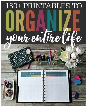 Organize your entire life with printables! These beautiful printables are made to keep your life tidy and in order. No more lost paperwork, forgotten passwords, or missing contact information. With This Organized Life you'll be able to keep track of everything including your: daily tasks, appointments, finances, contacts, passwords, meal planning, health, fitness, kids, pets, cleaning, organization, and more!