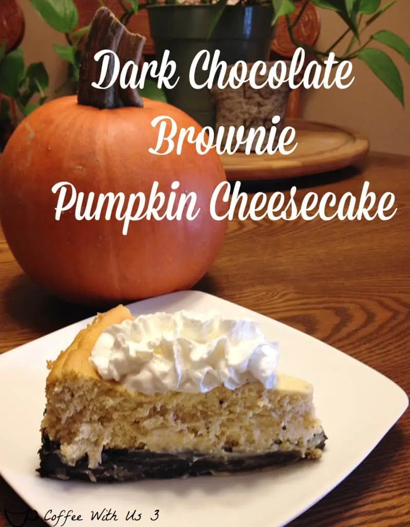 Fall is the perfect time of year to enjoy pumpkin recipes. Whether you're looking for a recipe that's easy, healthy, or a little more fancy and complicated, there's a sweet treat for every palate. Pumpkin cookies, cheesecake, pudding, ice cream, pie, cake, and more!