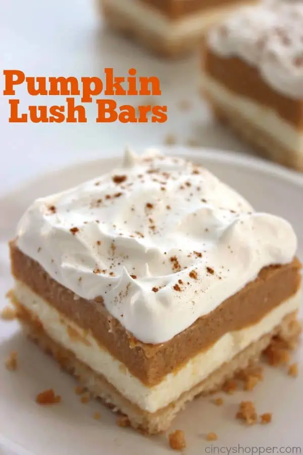 Fall is the perfect time of year to enjoy pumpkin recipes. Whether you're looking for a recipe that's easy, healthy, or a little more fancy and complicated, there's a sweet treat for every palate. Pumpkin cookies, cheesecake, pudding, ice cream, pie, cake, and more!