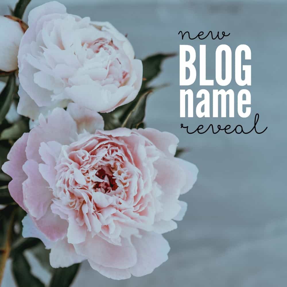 My Love for Words is being rebranded!! We'll soon have a brand new design and name to go with it. Today, I'm sharing that new name a little about all the fun things to come.