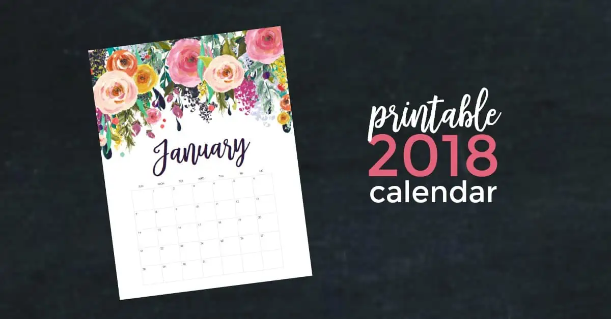 #planner #printablecalendar #goals #2018 #calendar #printables #organization