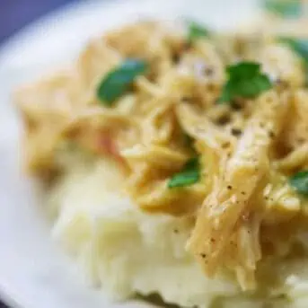 Crockpot chicken and gravy shredded in a plate close
