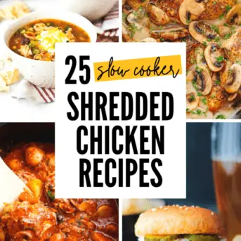 slow cooker shredded chicken recipes