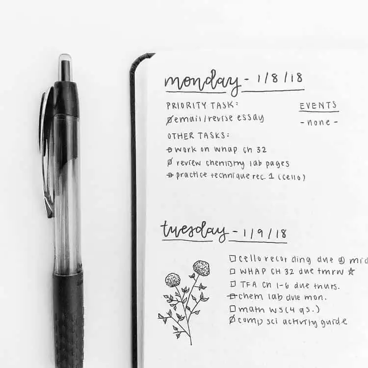 minimalist bullet journal ideas daily tasks with flower decoration