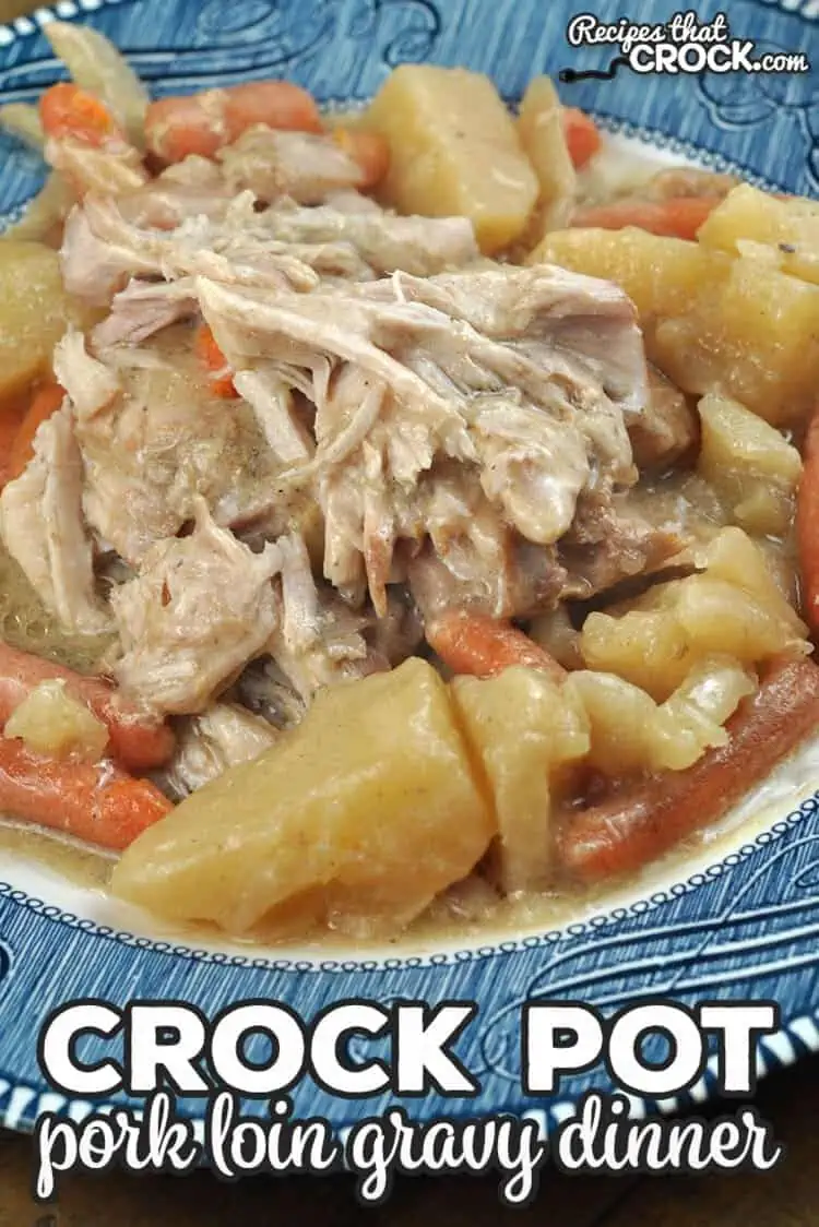 Pork Loin Gravy Dinner in a Crock Pot close photo served in a plate