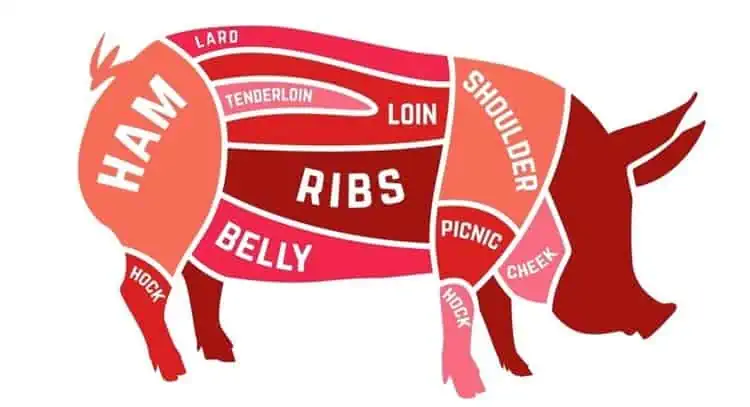 cuts of pork meat butchering loin tenderloin ham belly ribs shoulder
