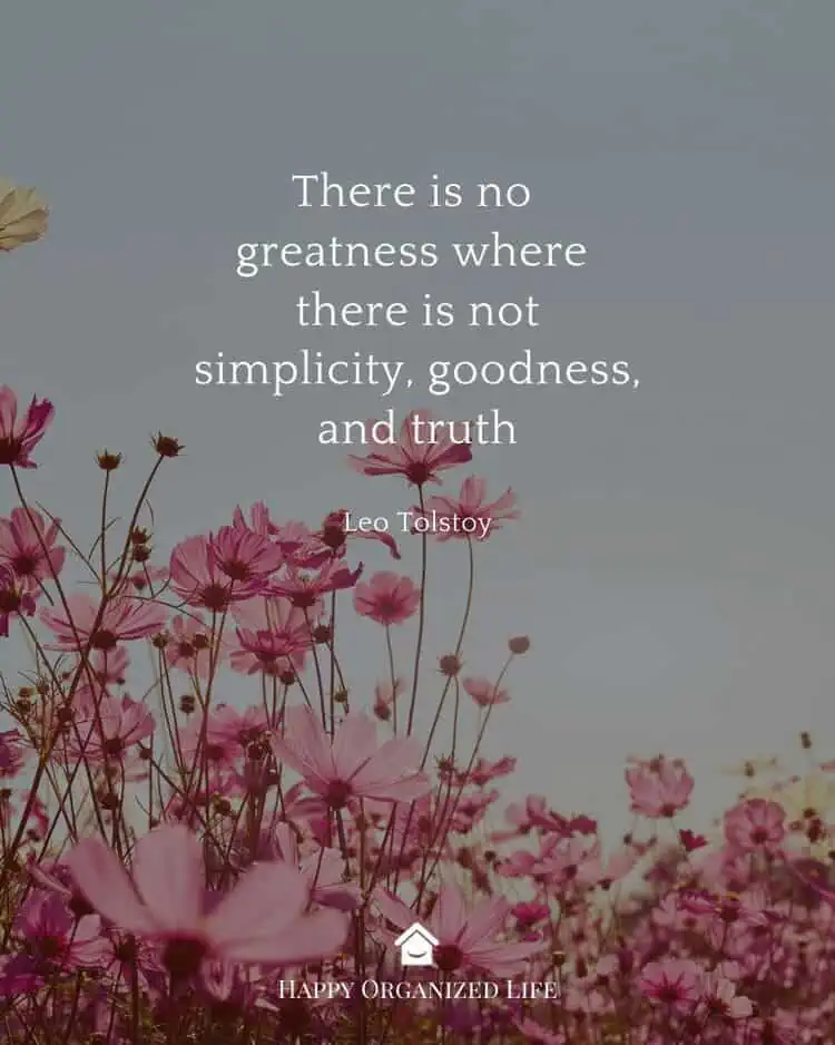 There is no greatness where there is not simplicity, goodness, and truth - Leo Tolstoy