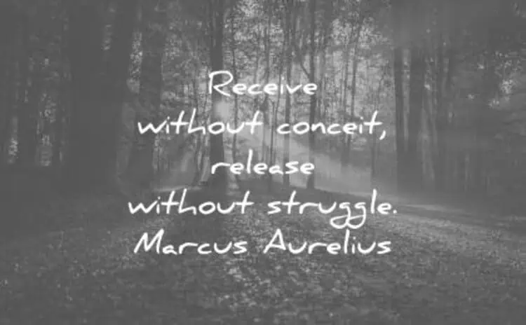 Receive without conceit, release without struggle - Marcus Aurelius simple life quotes
