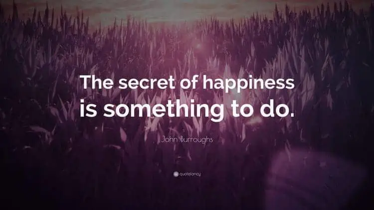 The secret of happiness is something to do ― John Burroughs