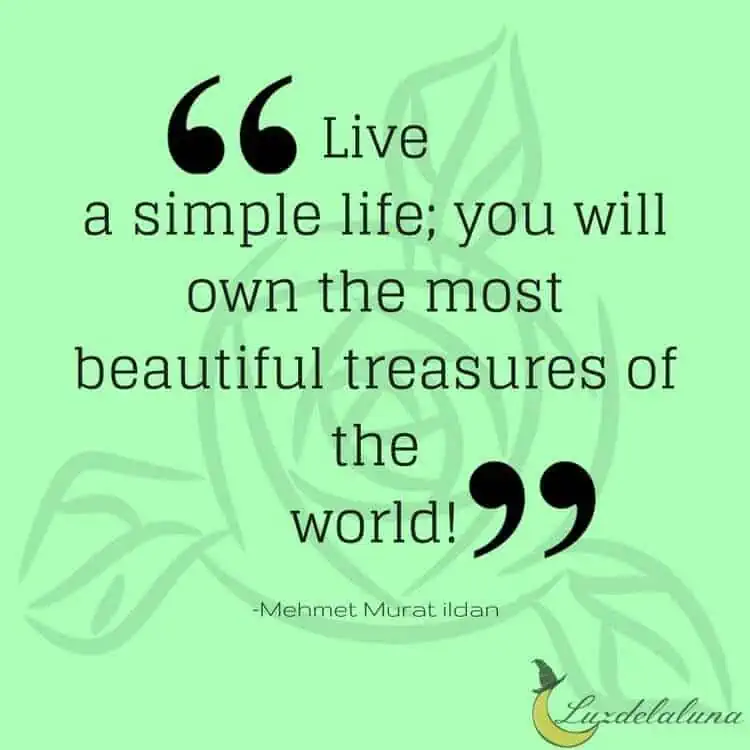 Live a simple life; you will own the most beautiful treasures of the world — Mehmet Murat ildan