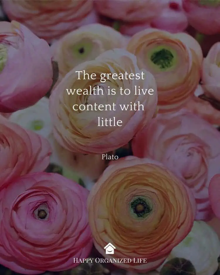 The greatest wealth is to live content with little - Plato
