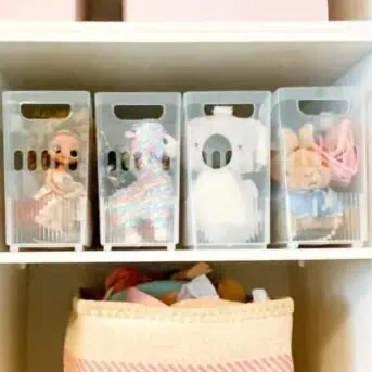 Shelves in the Closet with bins and baskets to store toys