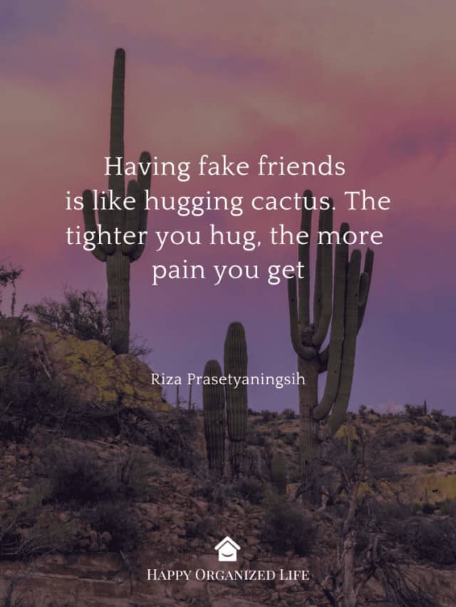 20 Powerful Quotes to Help You Identify Fake Friends Happy Organized Life