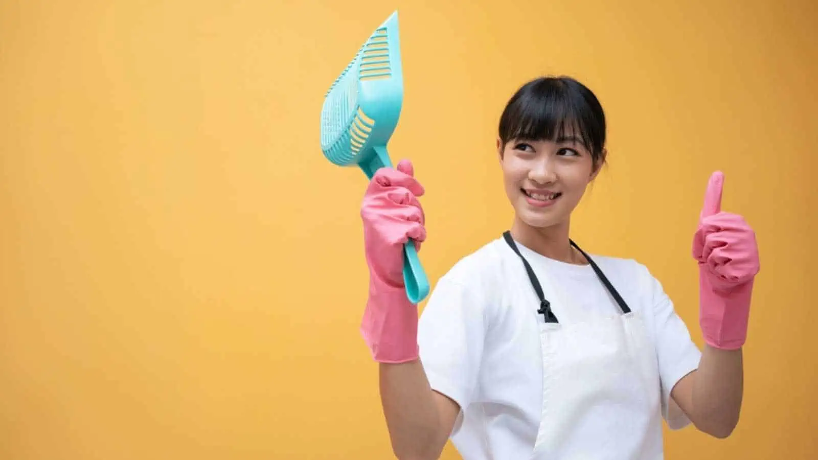 Happy woman cleaning