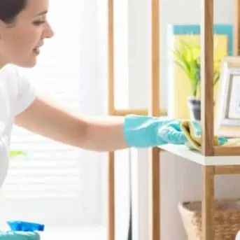 Young Woman Cleaning The Wooden Shelf In Living Room