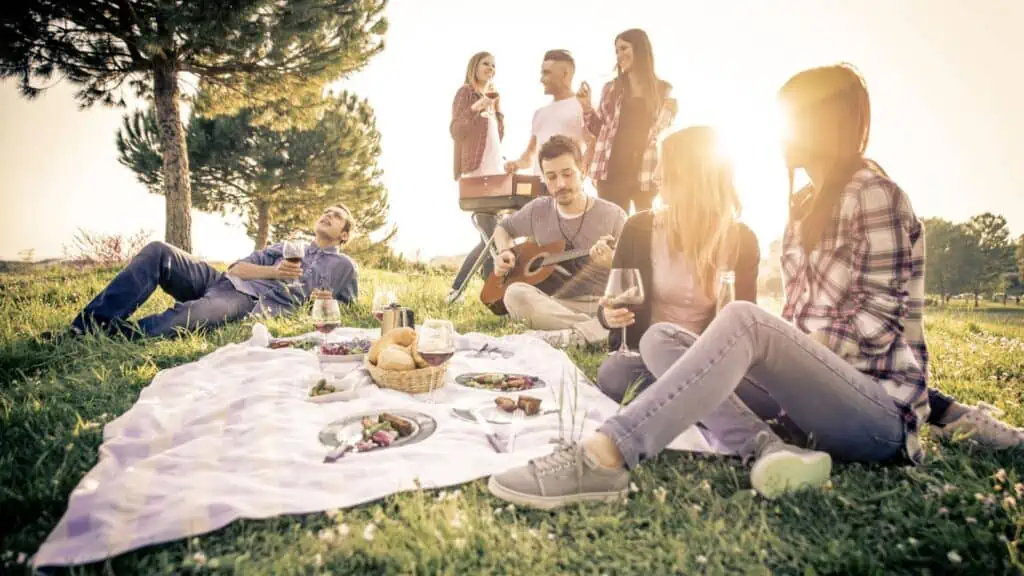 people having a picnic in the park while one guy plays the guitar