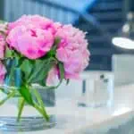 pink flowers on counter