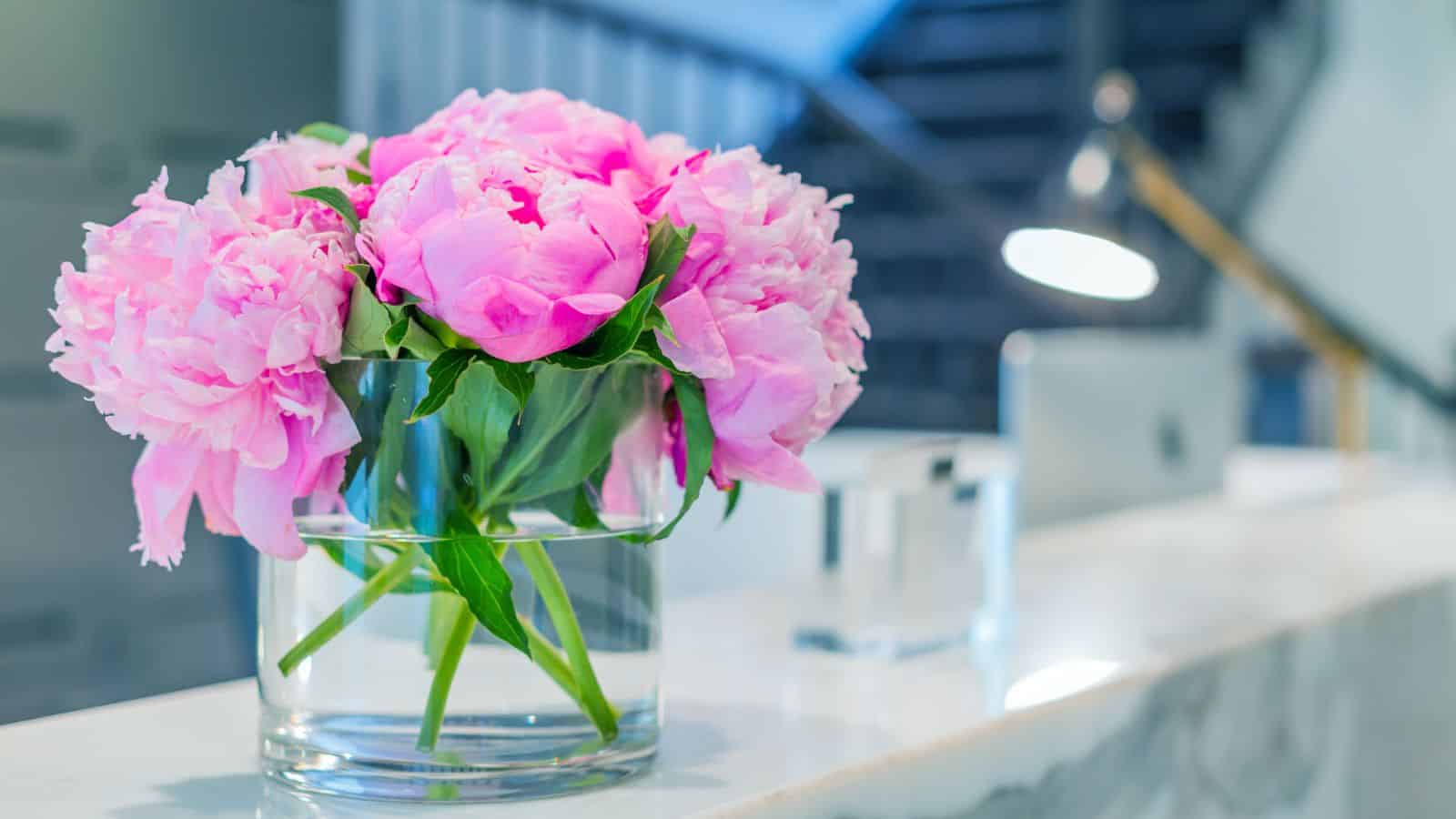 pink flowers on counter