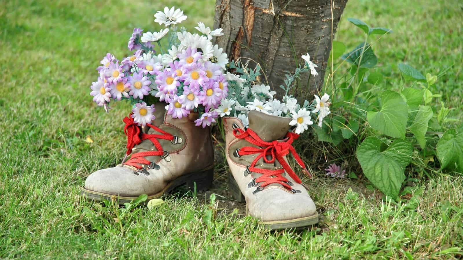 old boots with flowers in them next to a tree