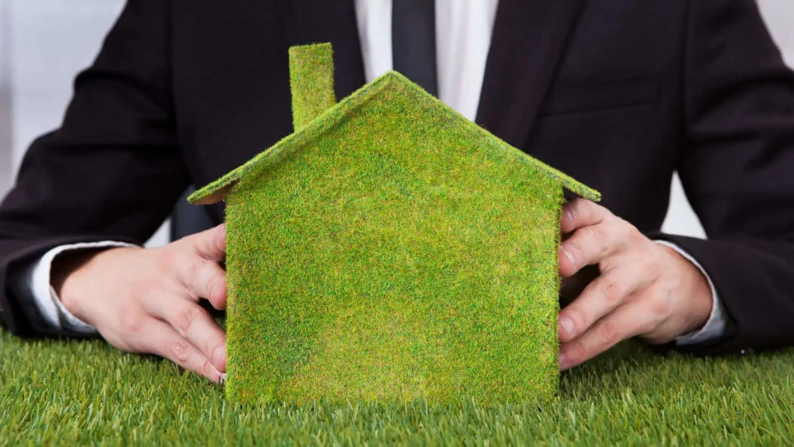 man hands hold house made from moss