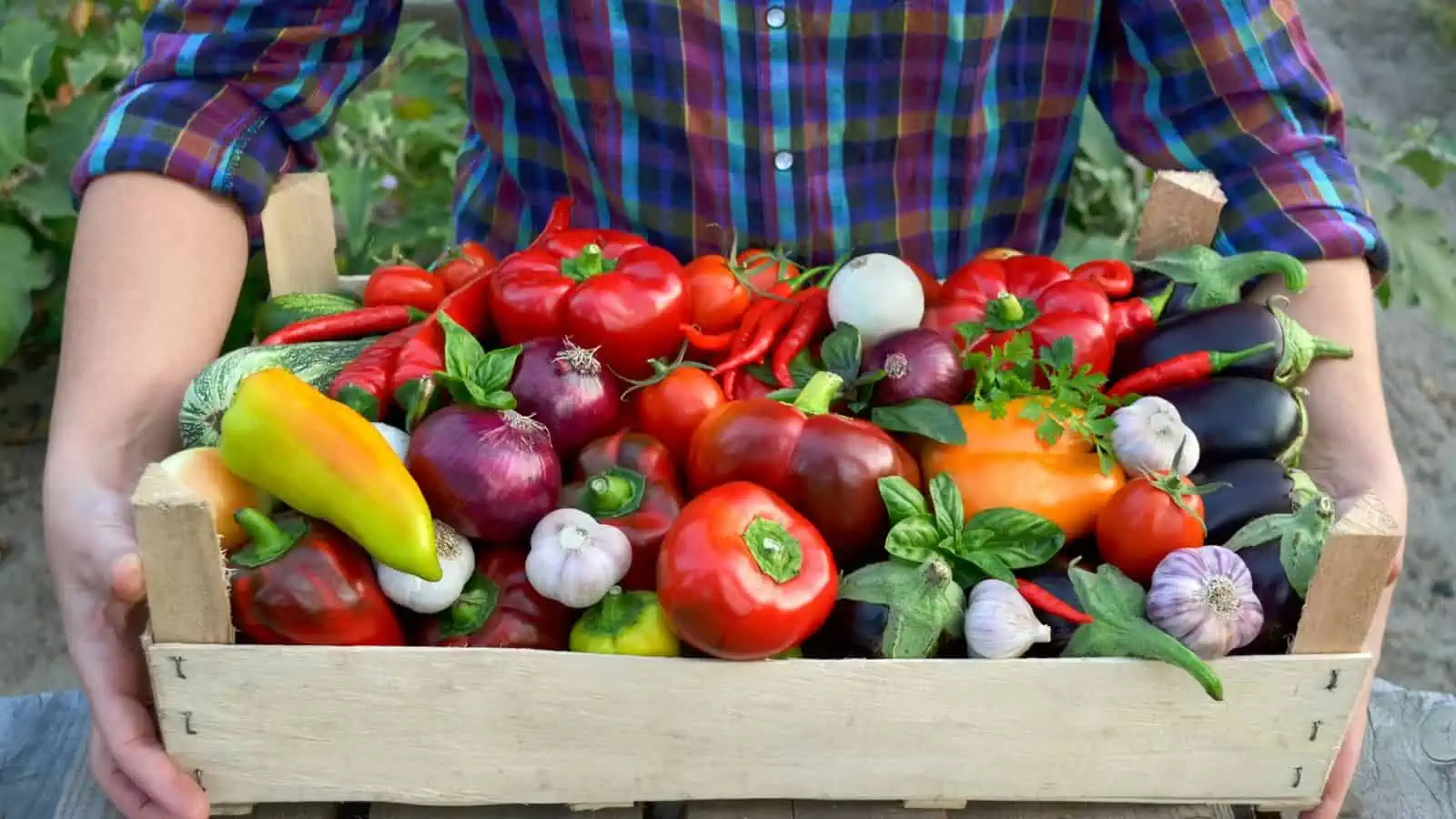 arms holding crate of vegetables