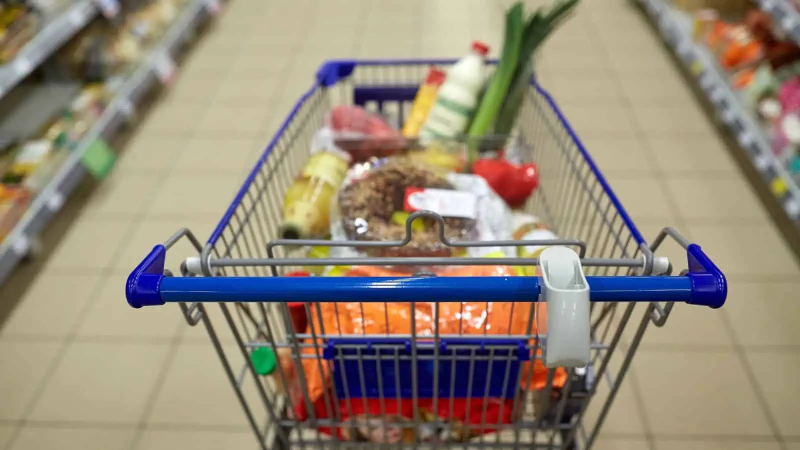 cart full of groceries