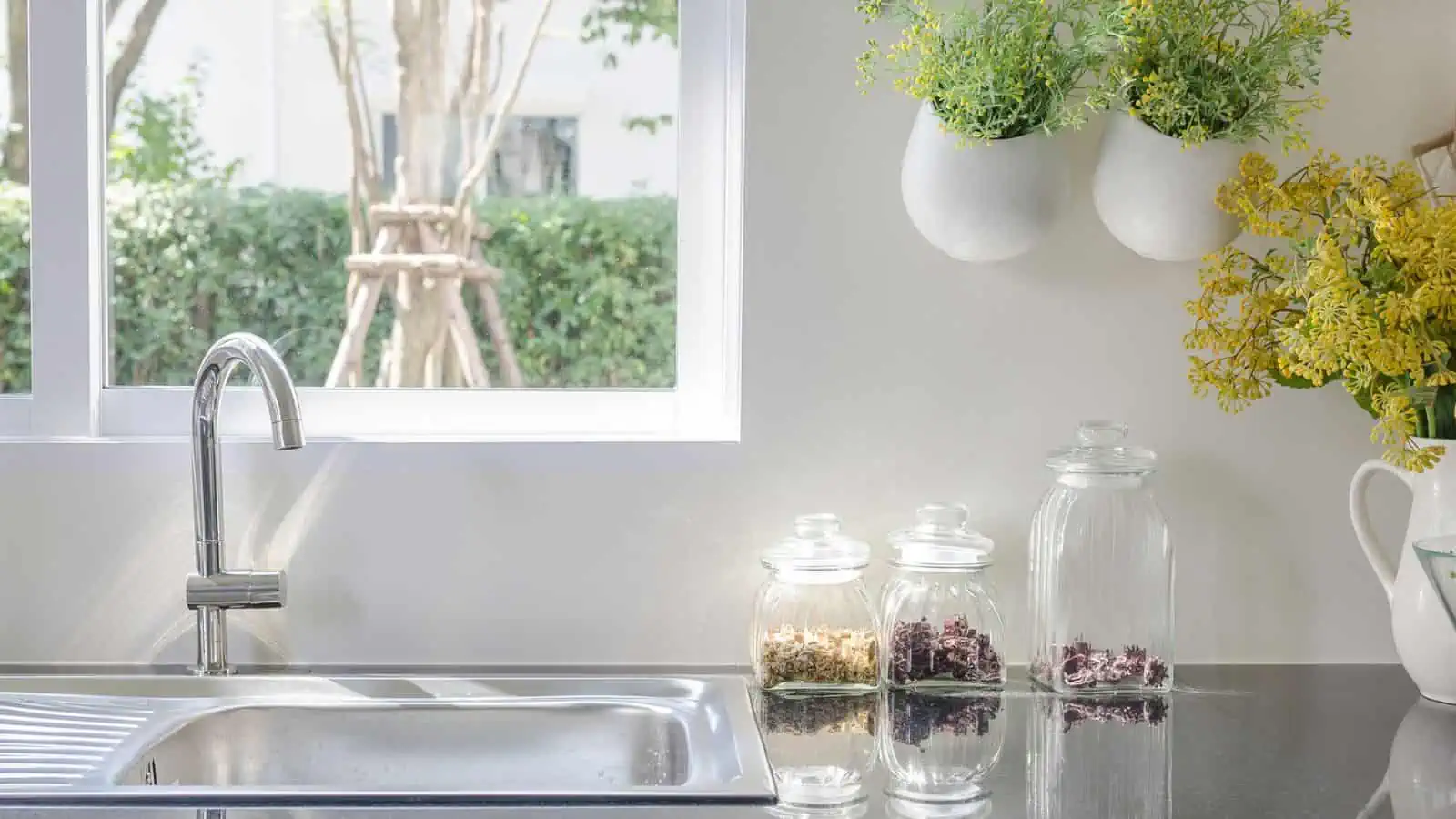 clean kitchen with plants