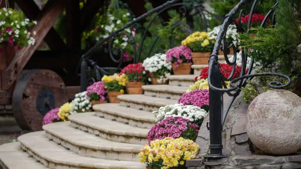 front porch steps with mums