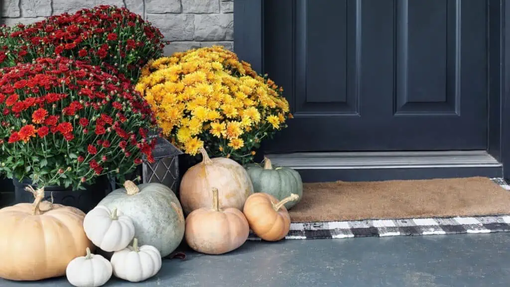 front porch with pumpkins