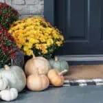 front porch with pumpkins