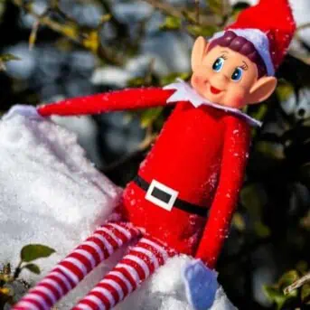 elf in snowy branch