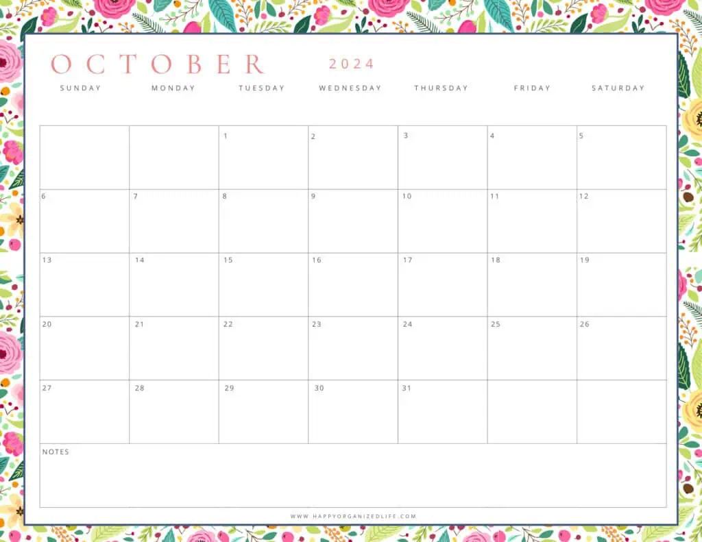 October 2024 Bright Pink and Turquoise Design